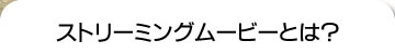 �X�g���[�~���O���[�r�[�Ƃ́H