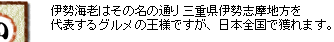 伊勢海老はその名の通り、三重県伊勢志摩地方を代表するグルメの大様ですが、日本全国で獲れます。